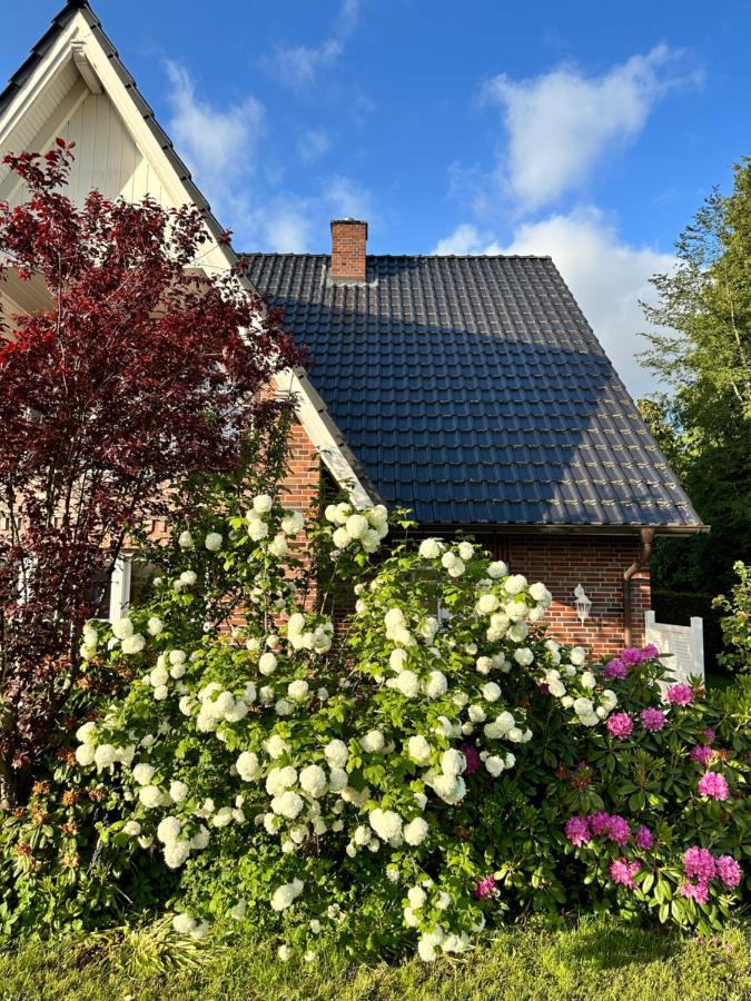 Louf Apartment Wiesmoor Luaran gambar